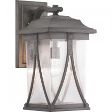 Progress P560115-103 - Abbott Collection One-Light Large Wall Lantern