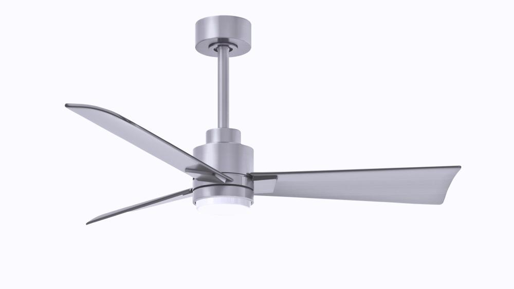 Alessandra 3-blade transitional ceiling fan in brushed nickel finish with brushed nickel blades. O