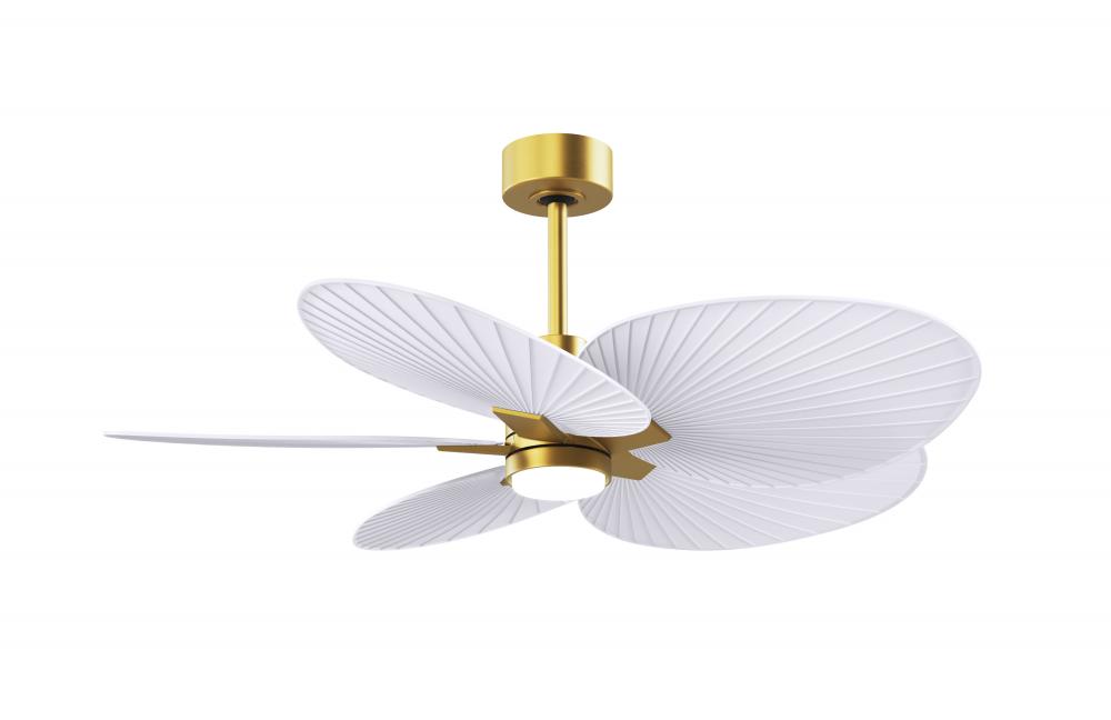 Alessandra Tropical 5-blade ceiling fan in Brushed Brass and Matte White blades.