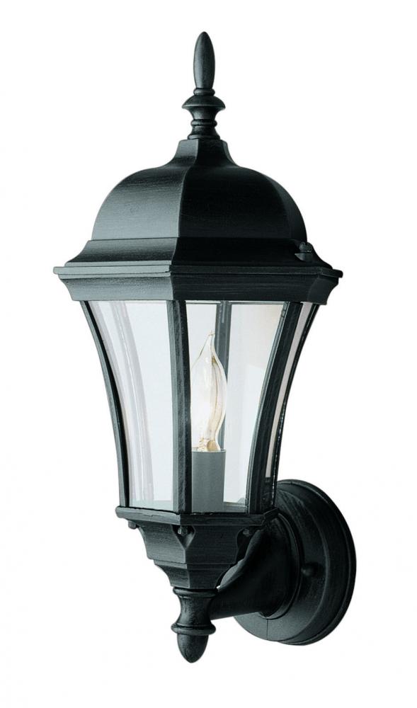 Burlington 1-Light Armed Metal and Glass Outdoor Wall Lantern