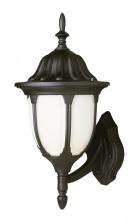 Trans Globe 4041 BK - Hamilton 1-Light Opal Glass Traditional Outdoor Wall Lantern