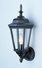 Trans Globe 4095 RT - San Rafael 17.25-In. Outdoor Wall Lantern Light