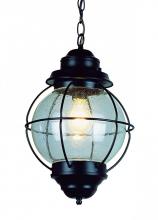 Trans Globe 69903 BK - Catalina 13.5" Hanging Lantern Light