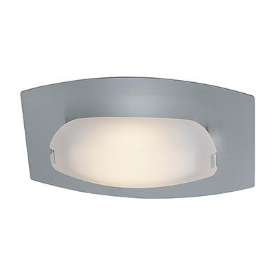 1 Light LED Wall Sconce or Flushmount