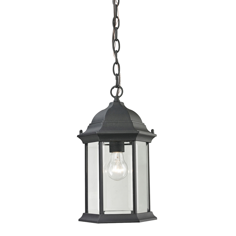 Thomas - Spring Lake 8'' Wide 1-Light Outdoor Pendant - Matte Textured Black